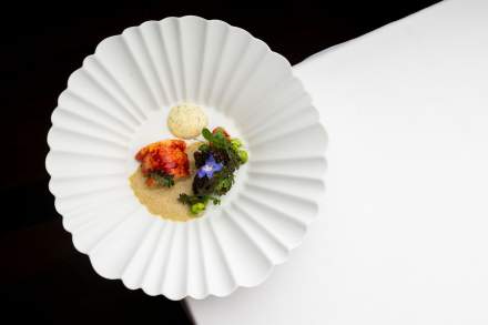 Assiette gastronomique colorée finement composée, présentée sur une assiette blanche texturée.