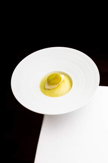 Un plat gastronomique raffiné, nappé d'une sauce jaune, présenté dans une élégante assiette blanche.
