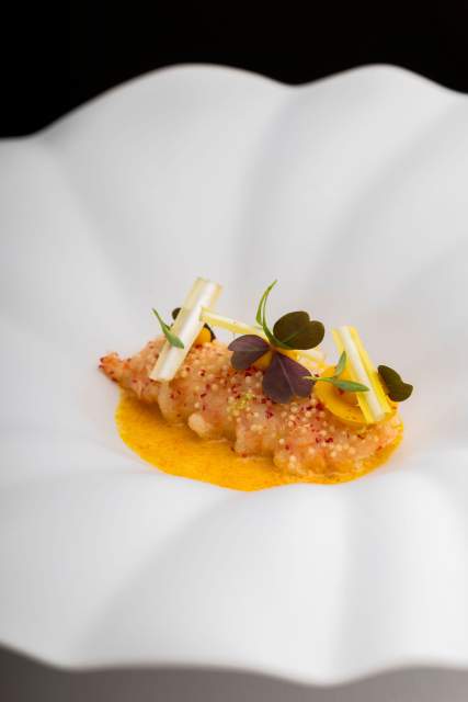 Une création gastronomique aux nuances orangées, joliment dressée sur une assiette blanche.