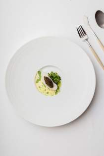 Plat gastronomique finement dressé, présenté dans une grande assiette blanche et épurée.
